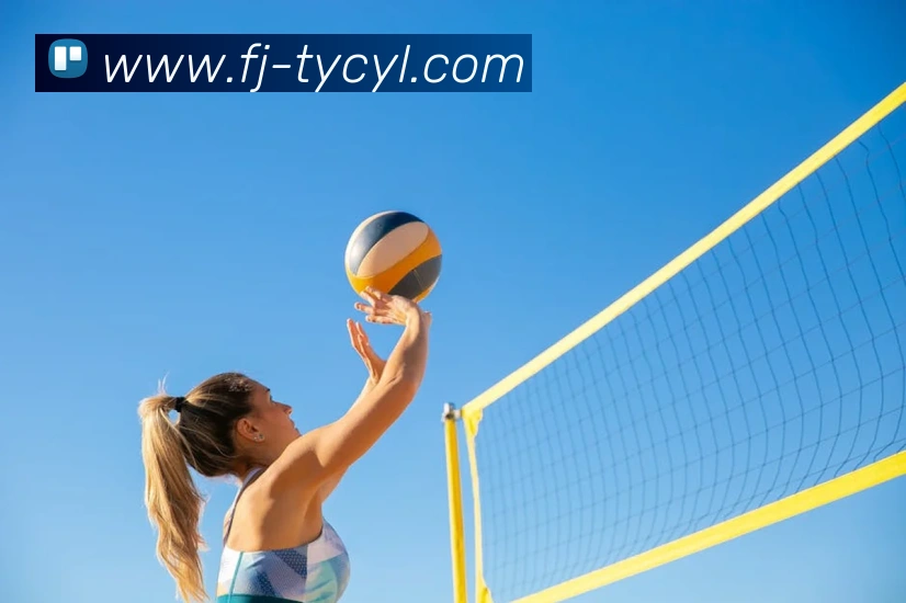 澳门太阳城平台生态图