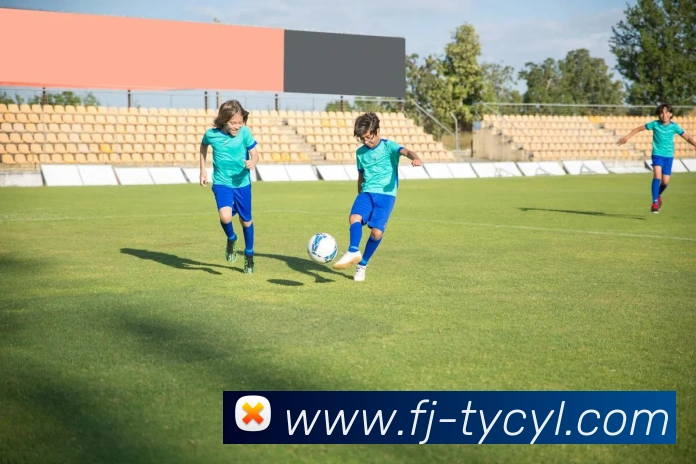 澳门太阳城APP 封面图